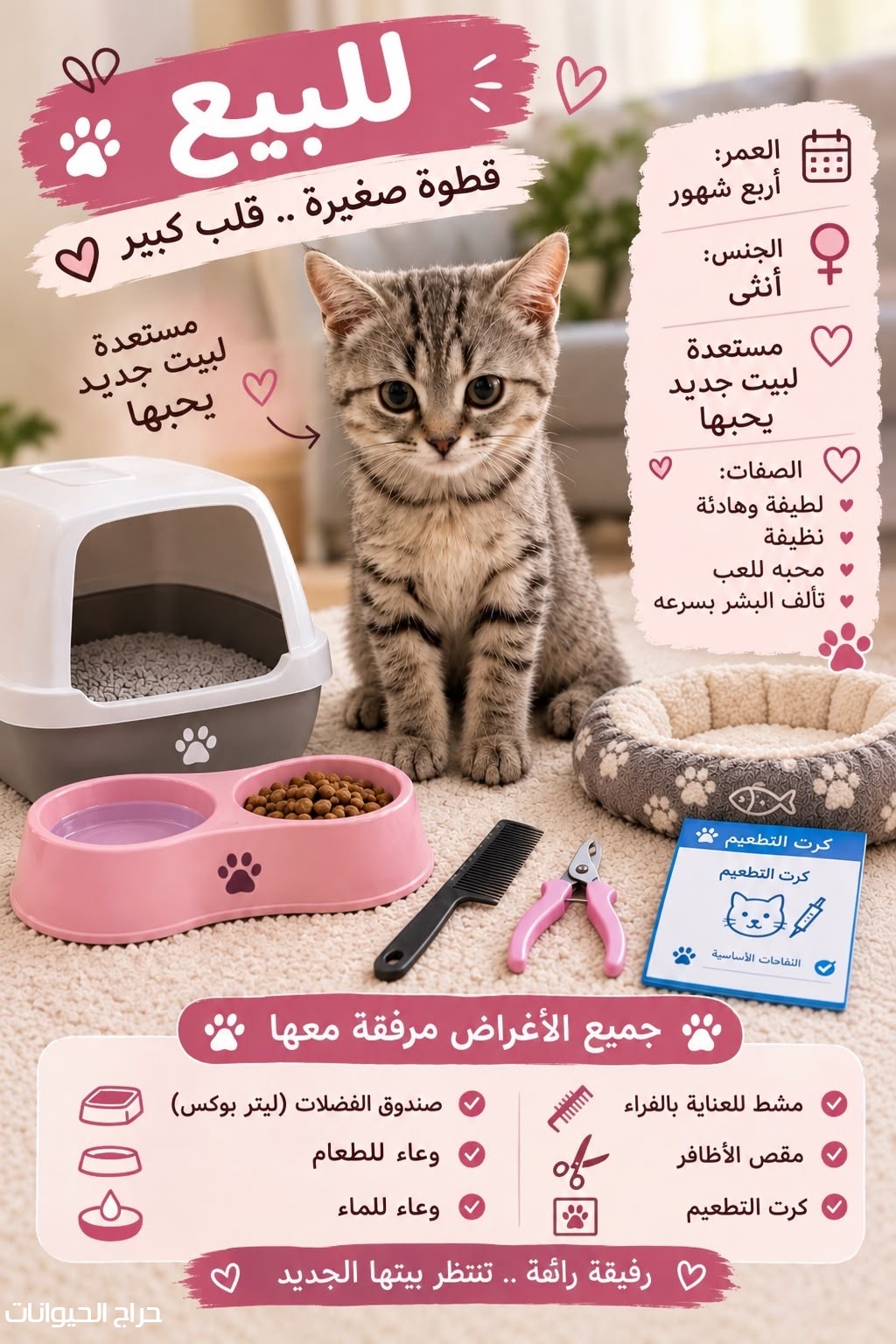 الأحساء القارة 